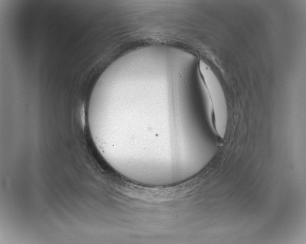 X0000072520027200608111732