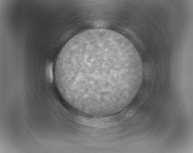 X0000072520028200608111732