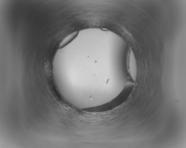 X0000072520029200608111732