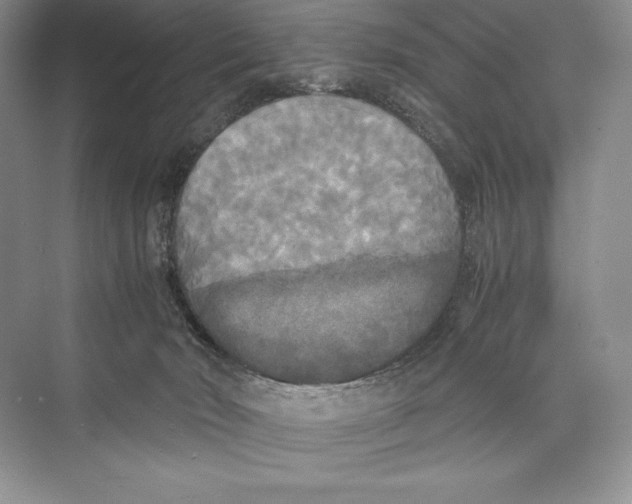 X0000072520030200608111732