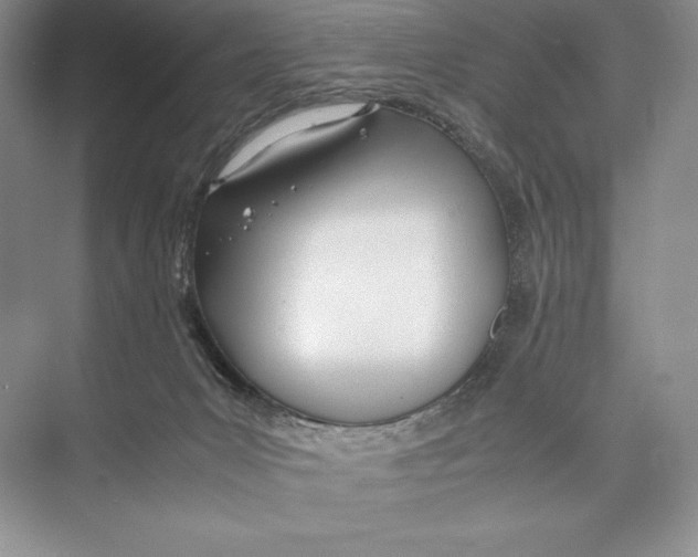 X0000072520031200608111732