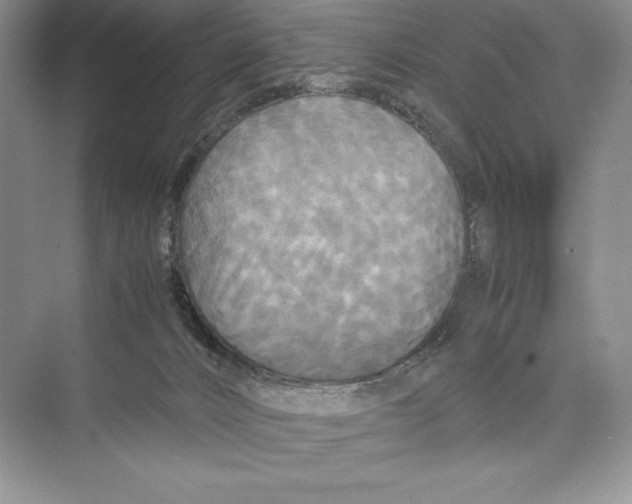 X0000072520032200608111732