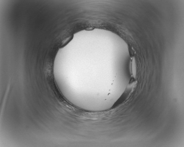 X0000072520033200608111732