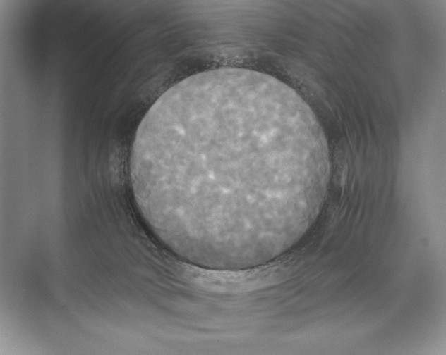 X0000072520034200608111732