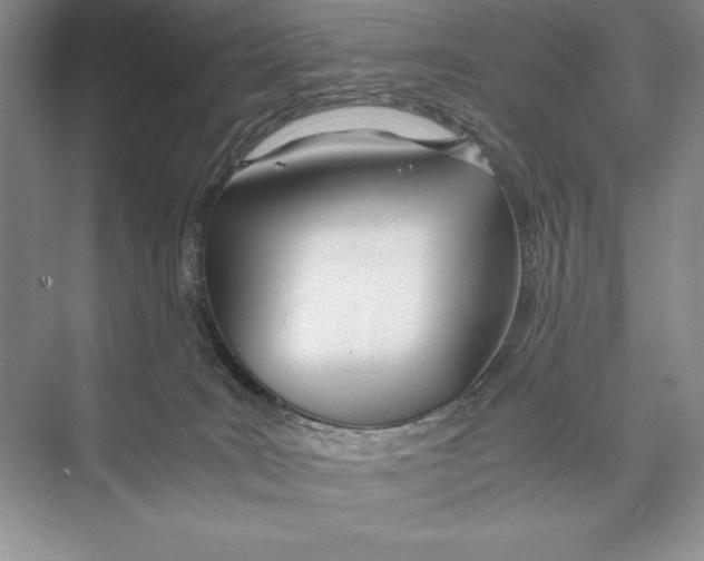 X0000072520035200608111732