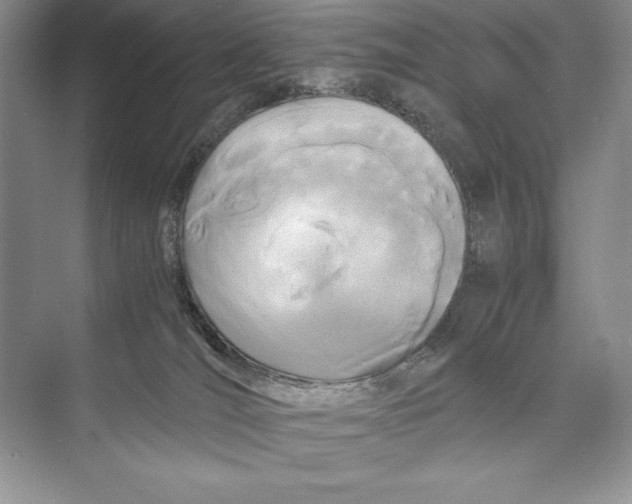 X0000072520036200608111732