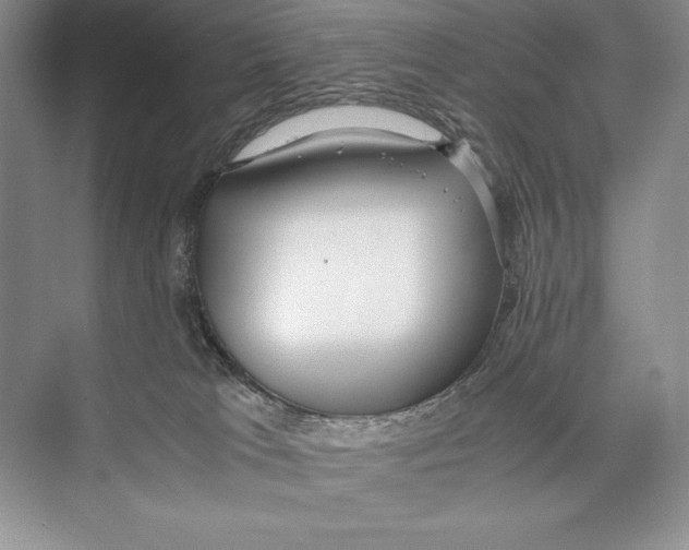 X0000072520037200608111732