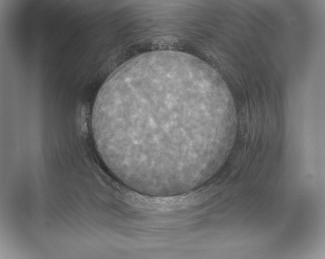 X0000072520038200608111732