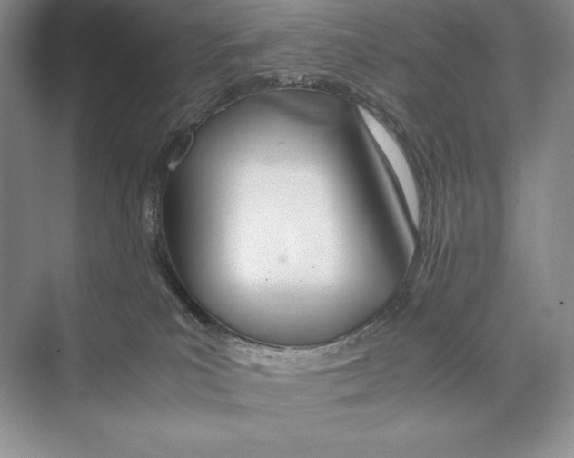 X0000072520039200608111732