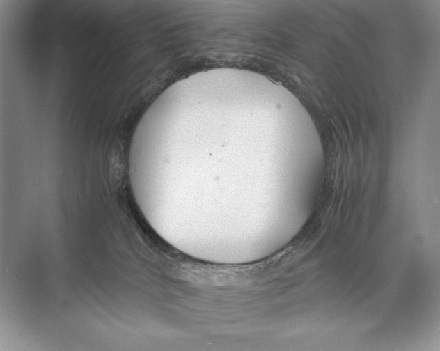 X0000072520040200608111732