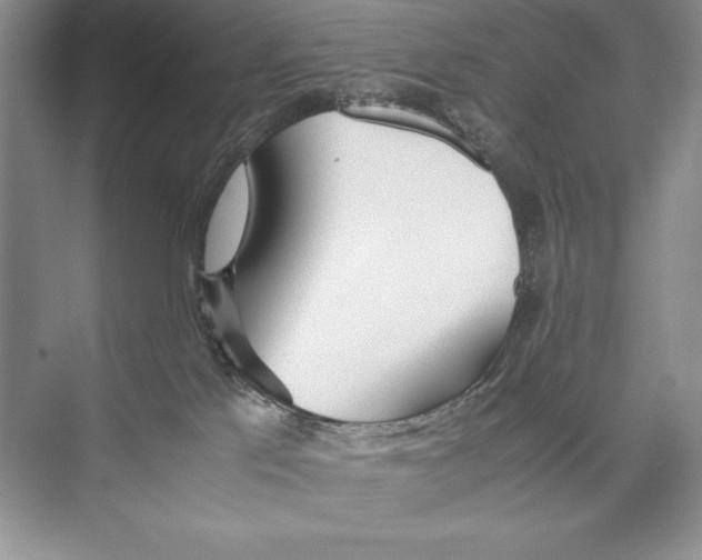 X0000072520041200608111732