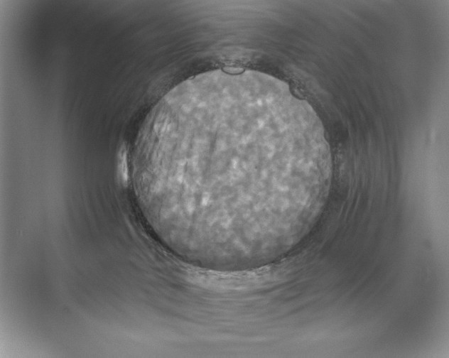 X0000072520042200608111731