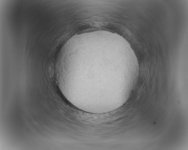 X0000072520043200608111731