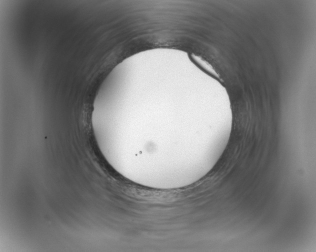 X0000072520044200608111731