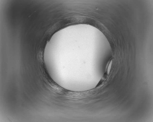 X0000072520045200608111731