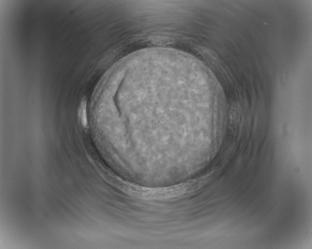 X0000072520046200608111731