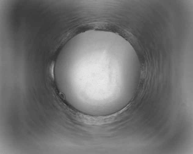 X0000072520047200608111731