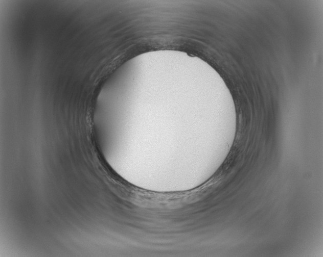 X0000072520048200608111731