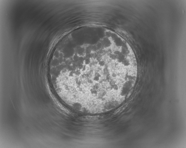 X0000072520049200608111731