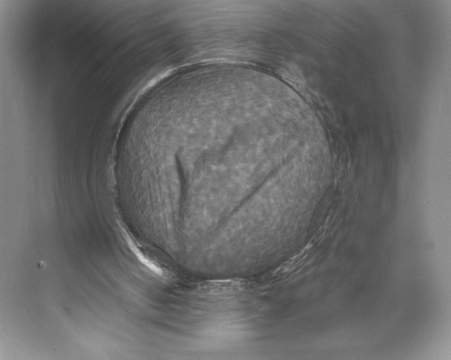 X0000072520050200608111731