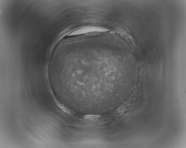 X0000072520051200608111731