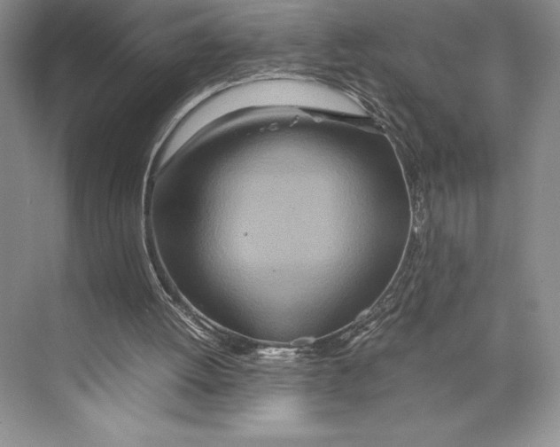 X0000072520052200608111731