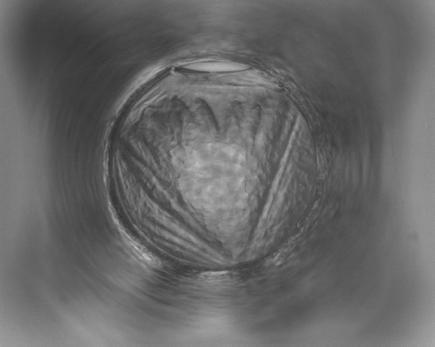 X0000072520054200608111731