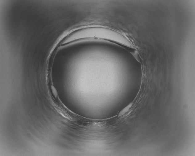 X0000072520056200608111731