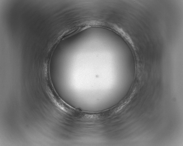 X0000072520057200608111731