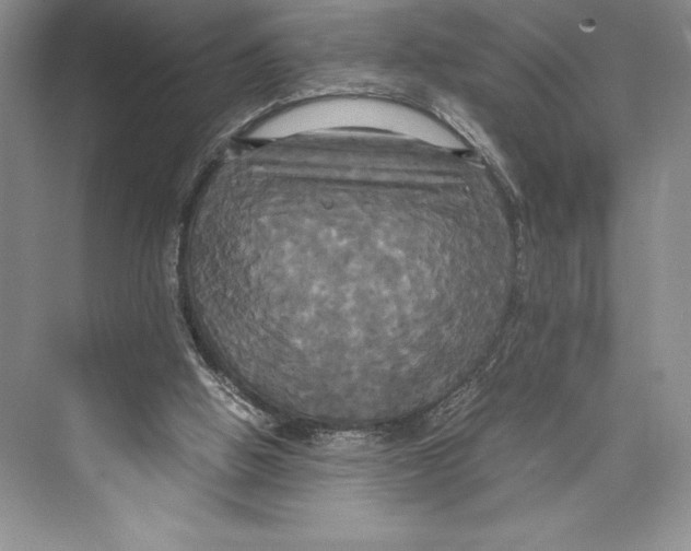 X0000072520058200608111731