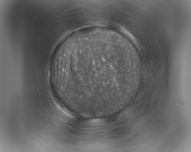 X0000072520059200608111731