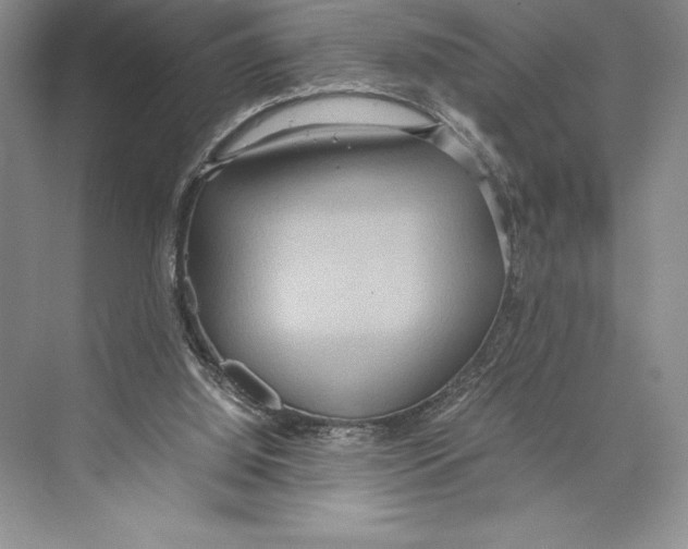 X0000072520060200608111731