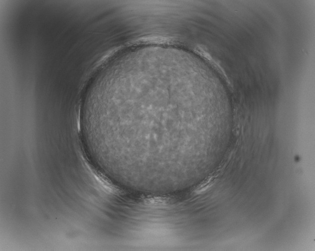 X0000072520062200608111731