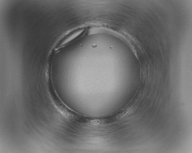 X0000072520064200608111731