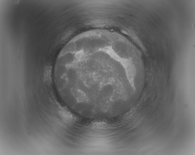 X0000072520066200608111731