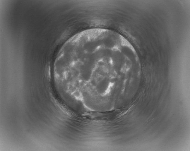 X0000072520067200608111731