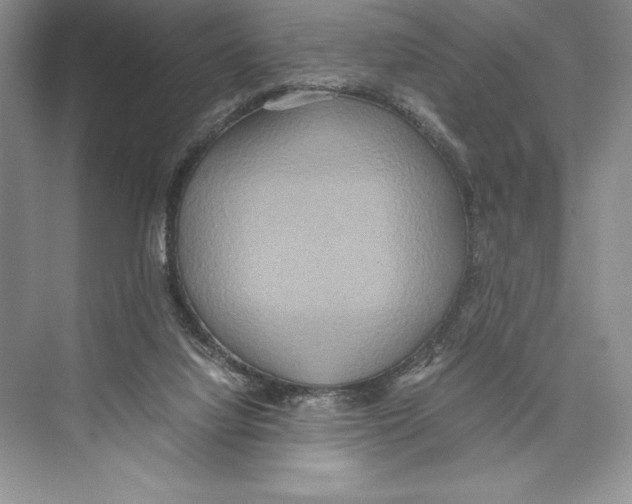 X0000072520068200608111731