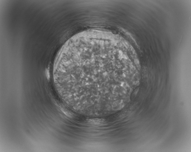 X0000072520069200608111731