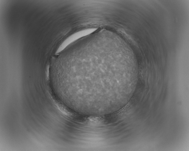 X0000072520070200608111731