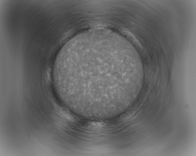 X0000072520071200608111731