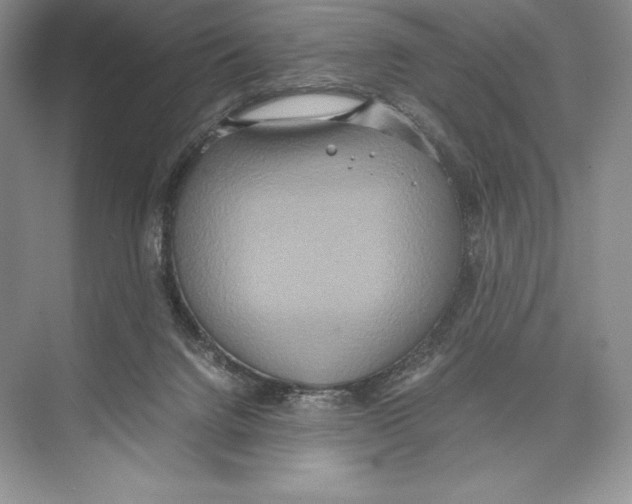 X0000072520072200608111731