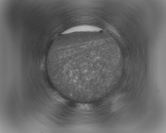 X0000072520073200608111731