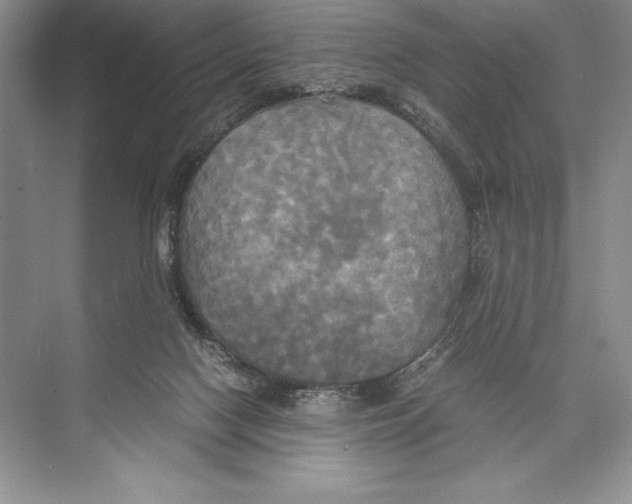 X0000072520074200608111731