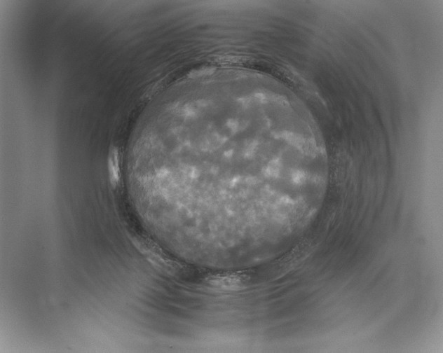 X0000072520075200608111731