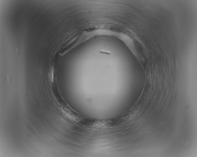 X0000072520076200608111731