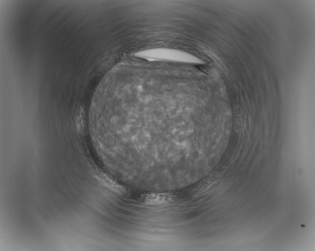 X0000072520077200608111731