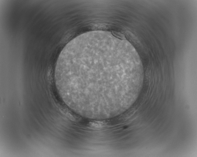 X0000072520079200608111731