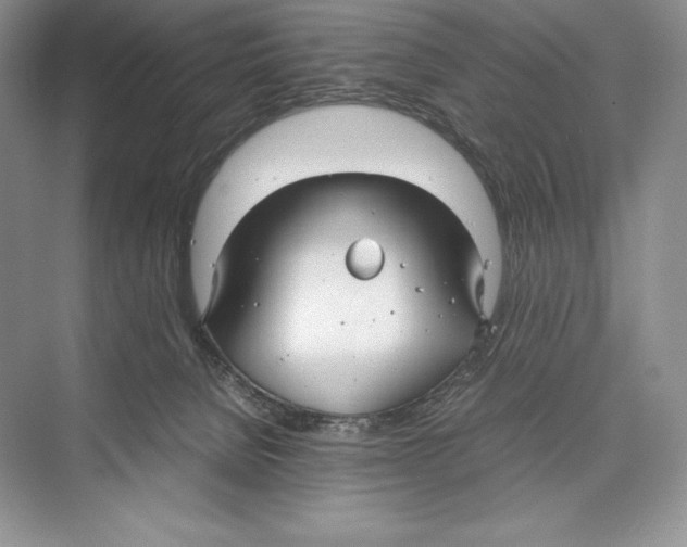 X0000072520080200608111731