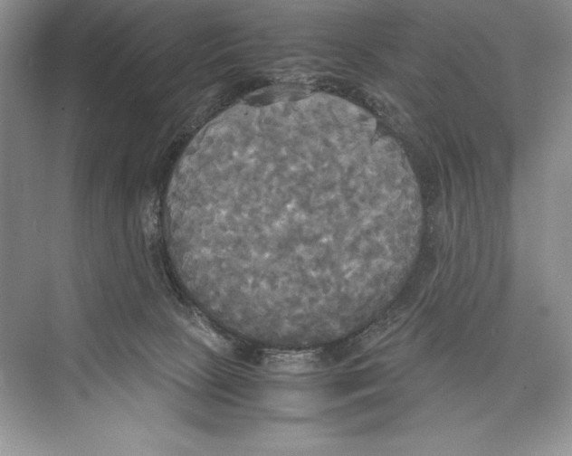 X0000072520081200608111731