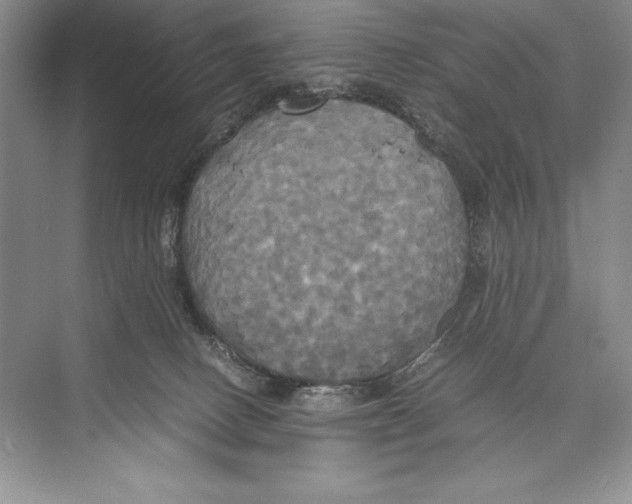 X0000072520082200608111731